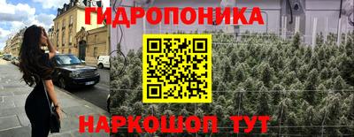 крисы Донецк