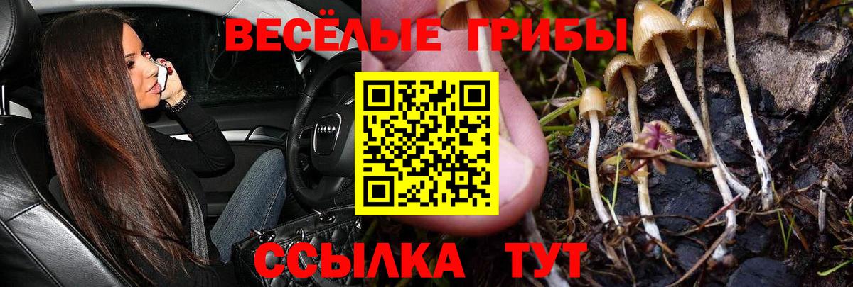 Псилоцибиновые грибы мухоморы Салехард
